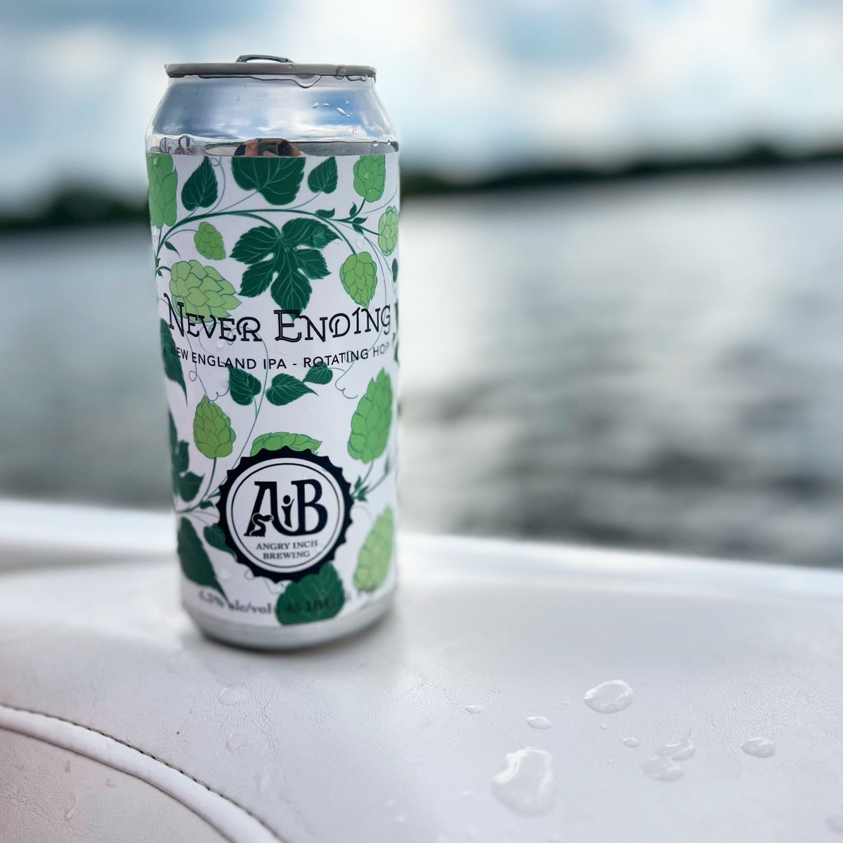 When it’s too nice to be inside, take your beer with you outside! ☀️🍻#lakelife #mncraftbeer