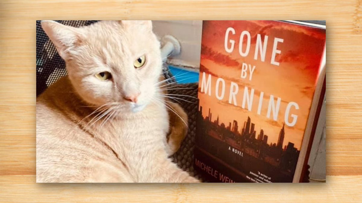 Michele W. Miller (also Michele Weinstat Miller) tweet media