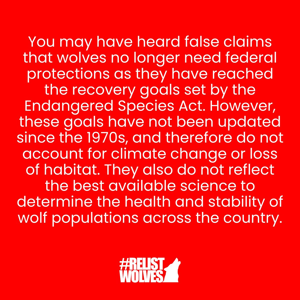 teamwolf_org's tweet photo. Not only are recovery goals for the Gray Wolf considered woefully inadequate by most modern biologists, but the Endangered Species Act doesn’t do enough to ensure that state’s uphold responsible stewardship of wildlife once “management” is returned to them. https://t.co/n1KVEmczop