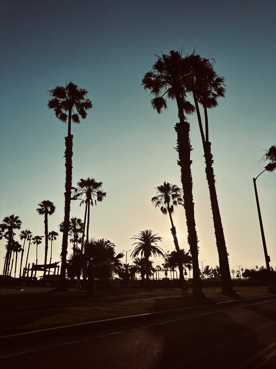 bearsnake 🍩 tweet media