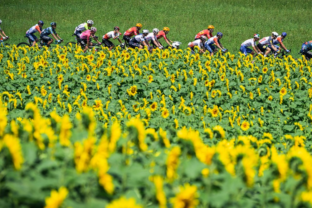 JenGoodSword's tweet image. Check out our coverage for Stage 8 of Le Tour, cyclistsinternational.com/2023/07/08/tdf… #TourdeFrance2023, @letour, #TDF2023