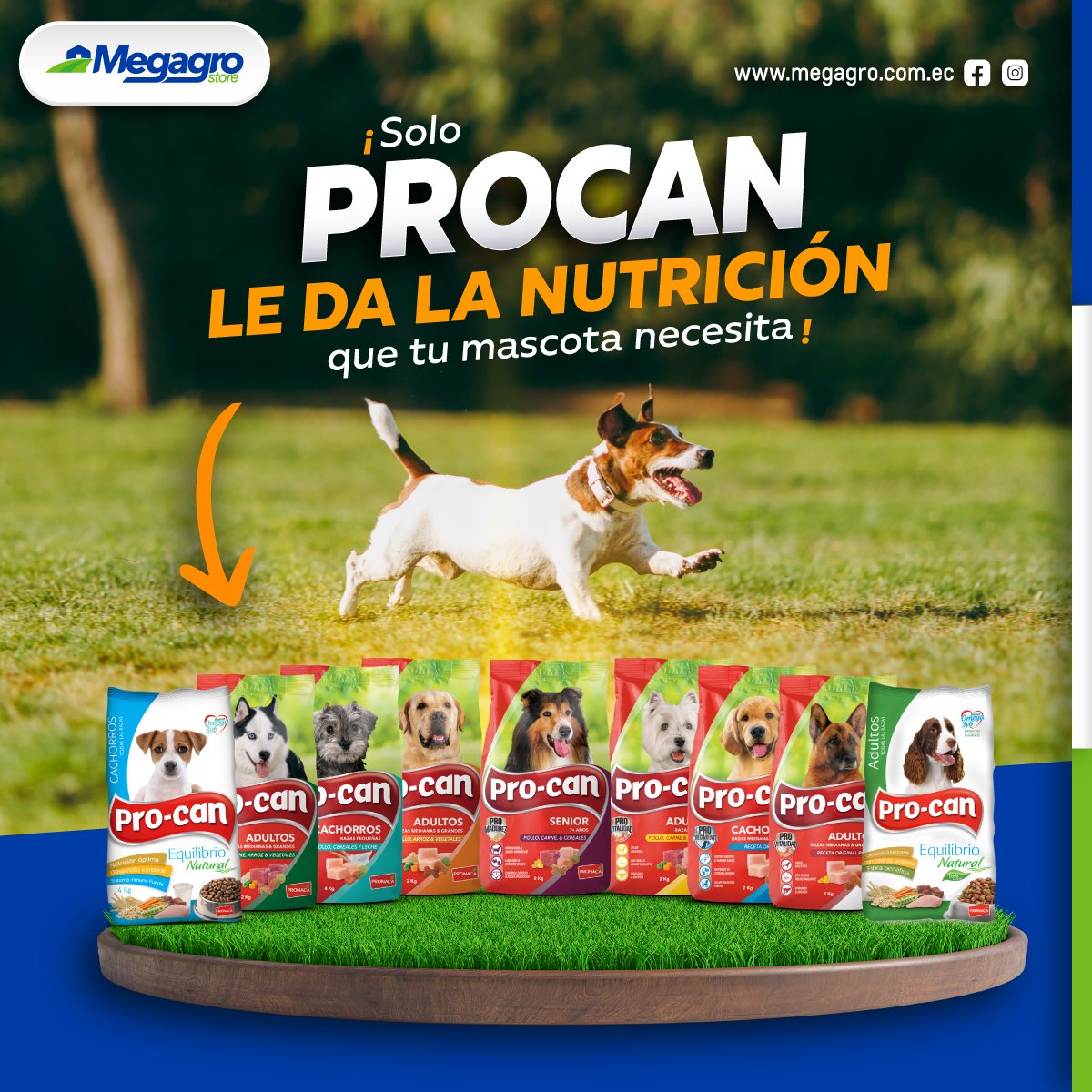 megagrostore's tweet photo. Procan es el alimento completo y balanceado para nutrir a tu mascota, desde cachorro hasta senior con el balance adecuado de nutrientes, vitaminas y minerales que necesitan en cada una de sus etapas de desarrollo. 

#mascotas #perros #nutricionanimal #MEGAGRO https://t.co/Yn6BRaqorg