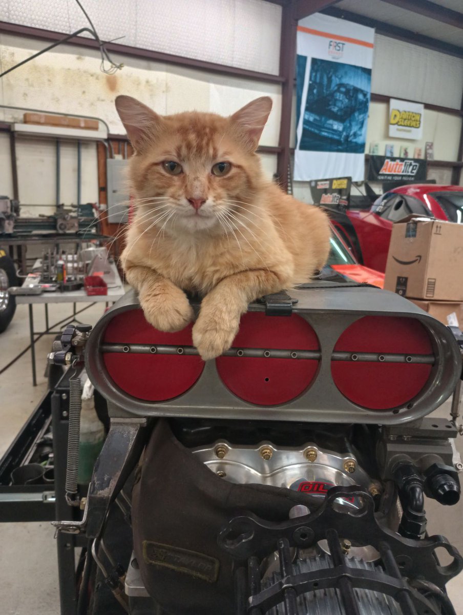 NancyMatter1's tweet image. Cat on a Hat.

@autolite @FRAM_Filters #DartonSleeves #dartonarmy @Redlineoil #ntxdiesel 
#Ssi #PacSprings #BulletCams #Trico #StopTech #autoliteannie #NHRA #AmericanValor #ChrisKyleandChadLittlefieldLegacy