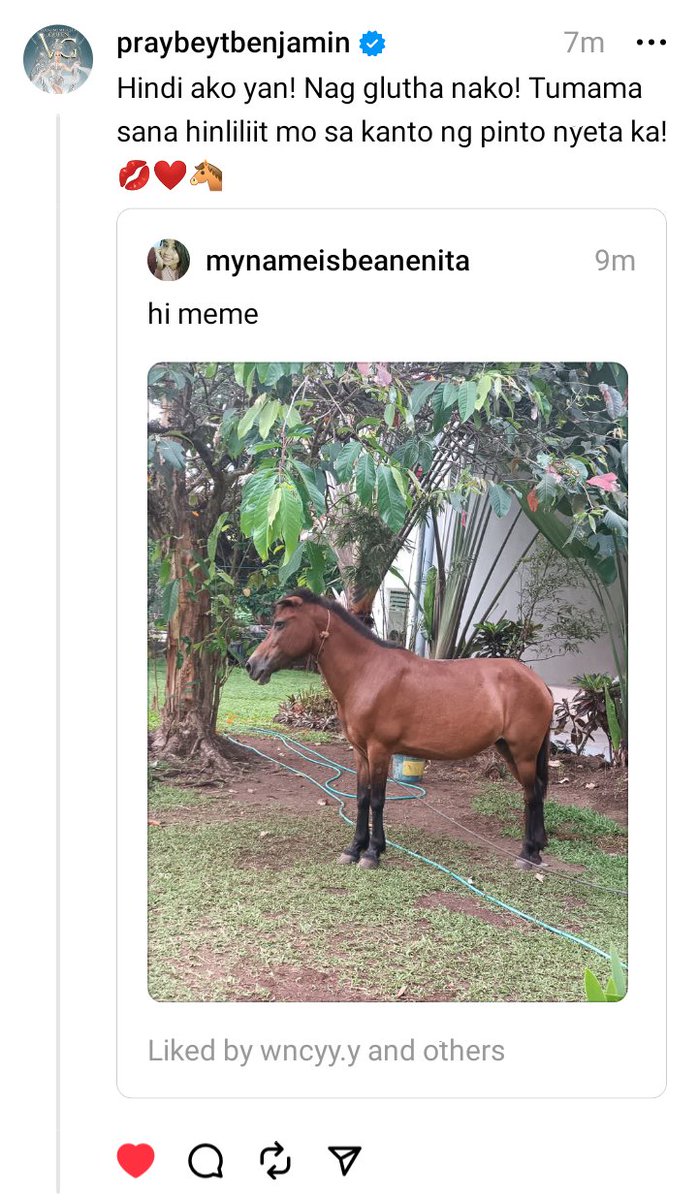 edlyngomez4's tweet photo. Grabeng bungad naman ni thread sa kin to HAHAHA. MORNING DOGSHOW SAYO @vicegandako 🤸 Bakit 🤸niyo🤸ginagawang🤸kabayo🤸ang 🤸beshy🤸ko🤸, eh,🤸 unicorn 🤸 yan🤸#thread #ViceGanda https://t.co/p8b3PQZ848