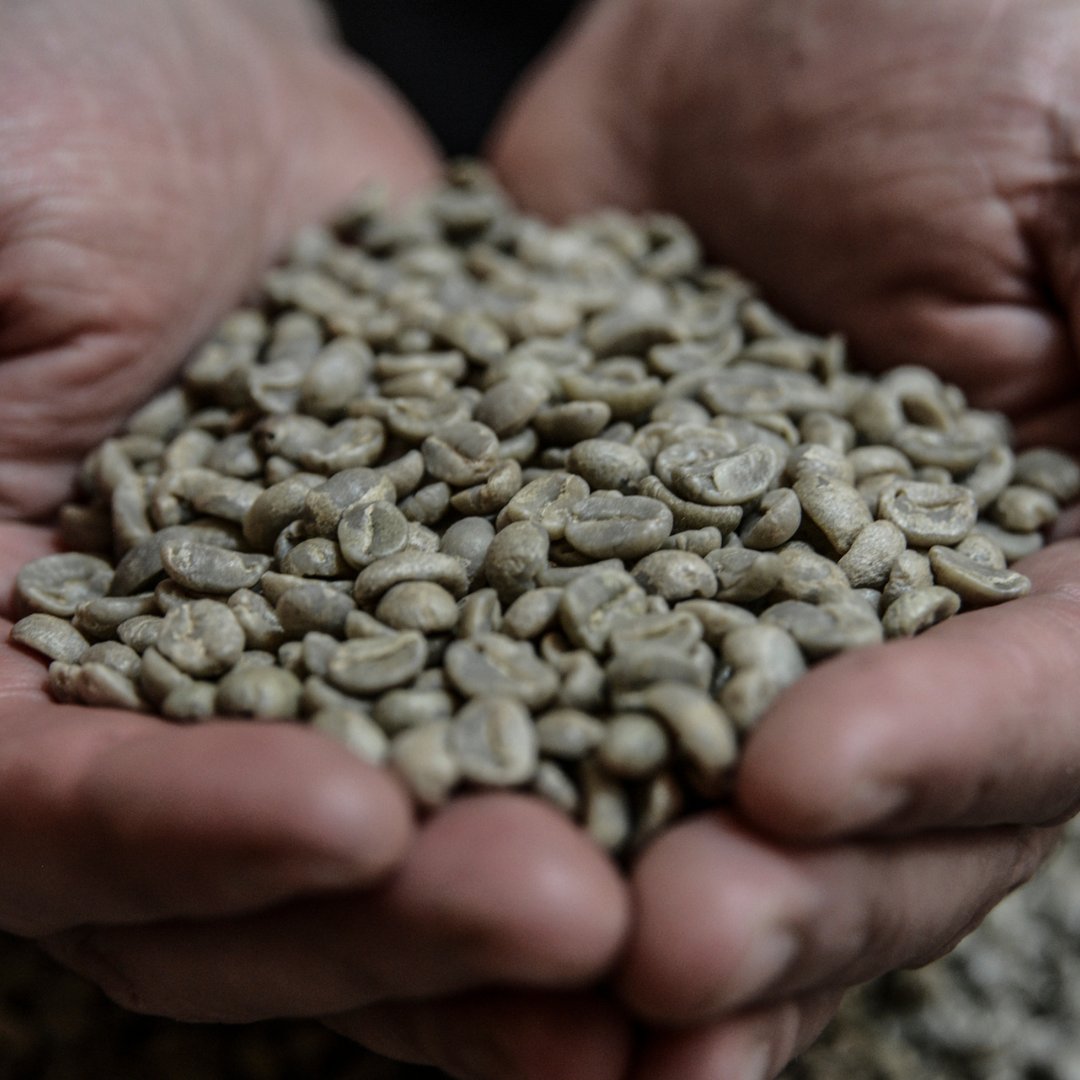 Guatemalacoffee's tweet photo. We’re committed to improving social, economic, and environmental sustainability in our nation’s coffee sector. #GuatemalanCoffees #GuatsNext https://t.co/YO0PsM3bFa