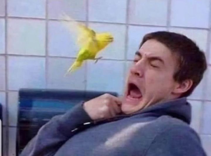 When someone calls instead of messages