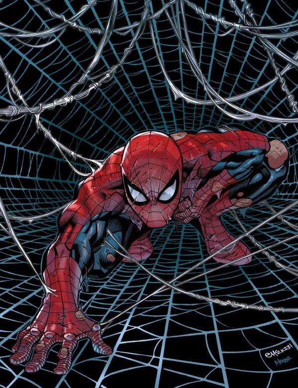 RT @spideymemoir: Spider-Man by Ed McGuinness! https://t.co/GBXMOTKDo6