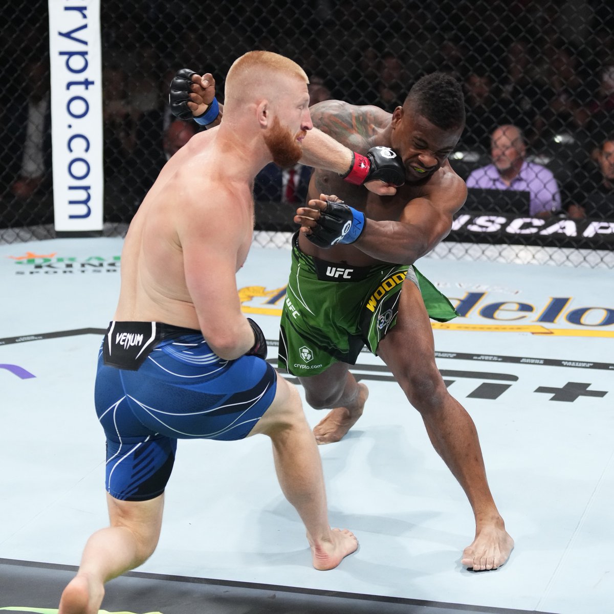 UFC tweet media