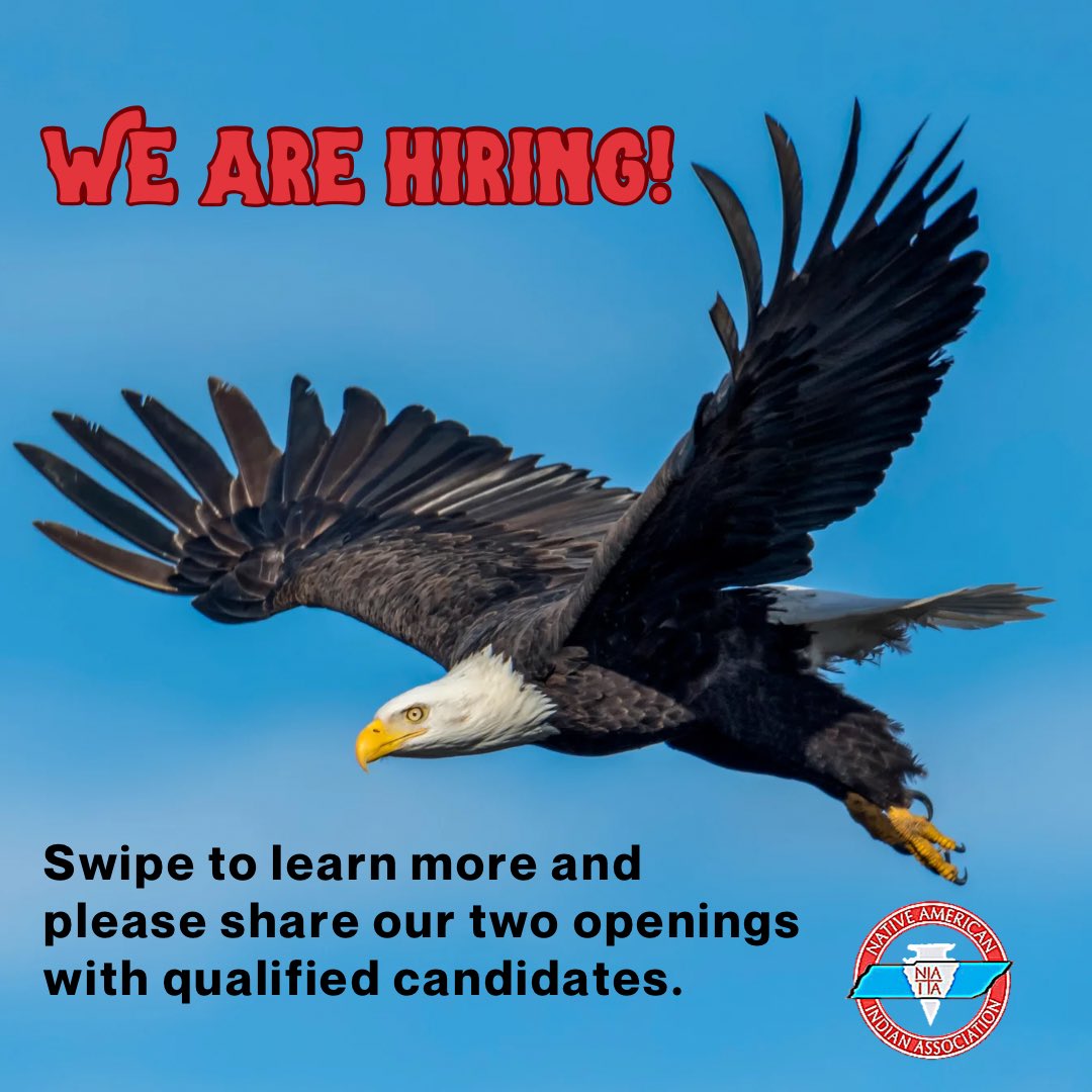 naiatn's tweet photo. π¦
We are hiring! π¦
Swipe through to learn about our two open contract positions. Link in our bio to apply. Email naia@naiatn.org with any questions.
https://t.co/IVNkwHvbFS
#nativejobs #naiatn #nativeamerican #indigenousjobs #supportnative #educationjobs https://t.co/JXHpPJ7J5J