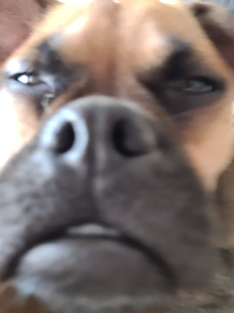 jecruby's tweet photo. @JackieMButler + bonus pro quality https://t.co/VFMcrLwBu7