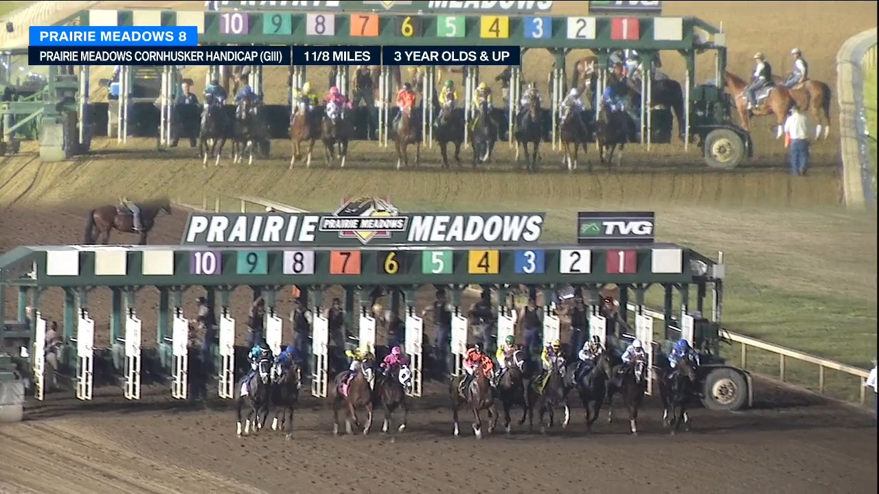 TVG On Twitter The 300 000 Cornhusker Handicap G3 Is Won By Gate tvg-on-twitter-the-300-000-cornhusker-handicap-g3-is-won-by-gate