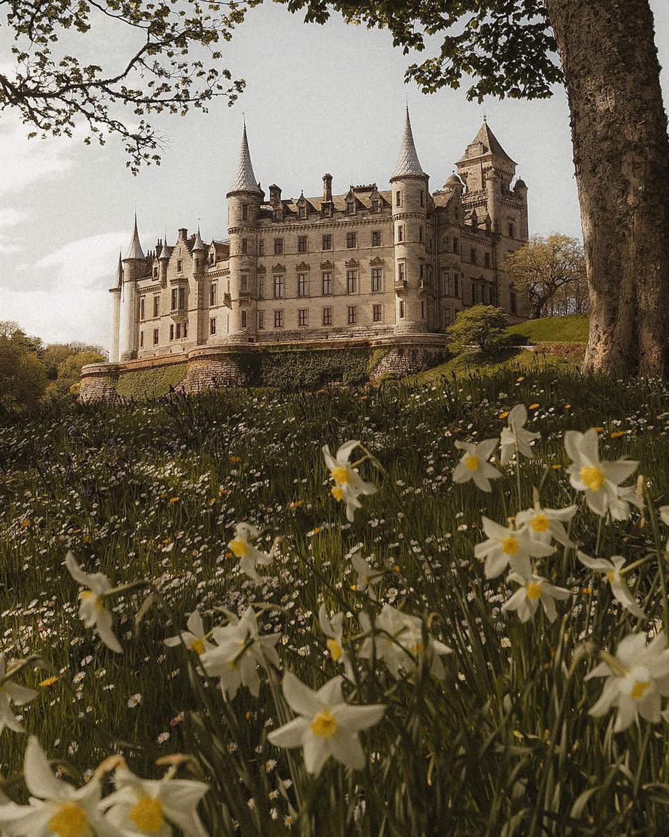 dunrobin castle in sutherland, scotland ⋅ ph. gisforgeorgina