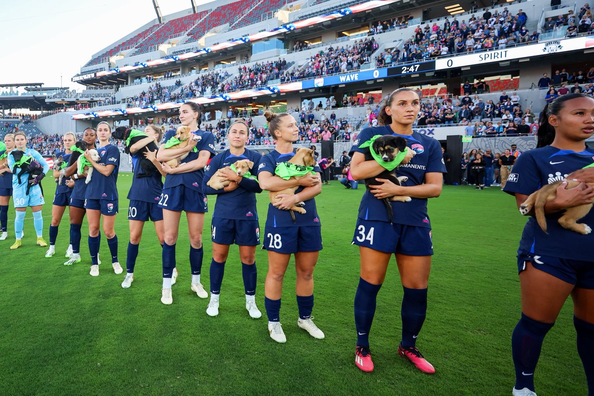 NWSL's tweet photo. Stop what you're doing and LOOK AT THIS 🥺 https://t.co/1J1rY7Ri2G