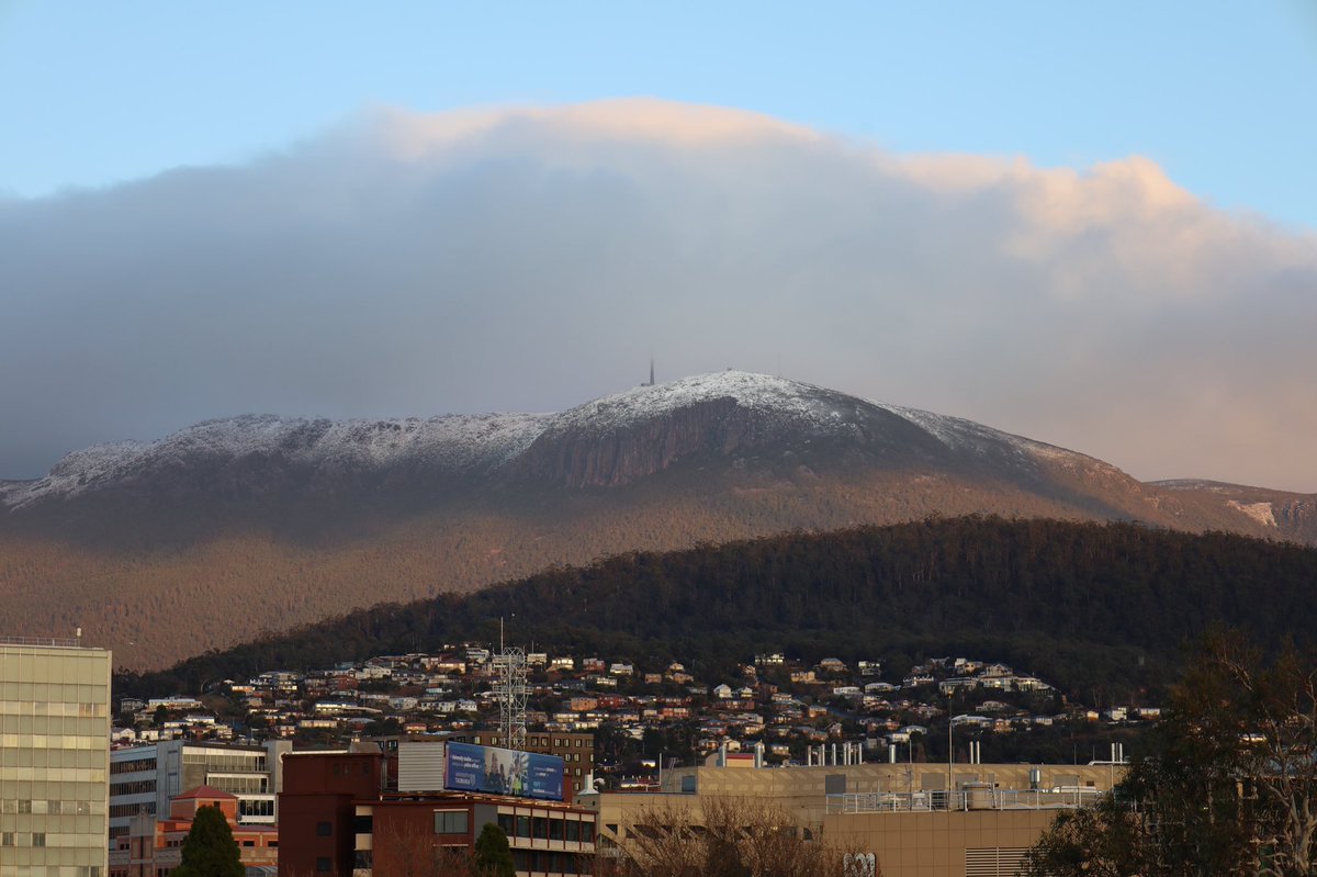 Loretta Lohberger tweet media