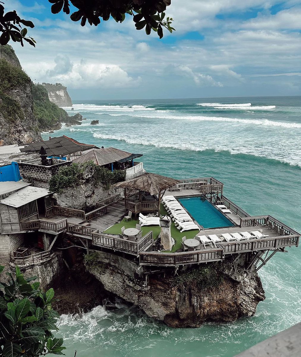 Rachel Apollonio (@RachelApollonio) / Posts / X