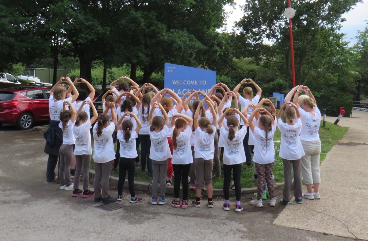 GGSWChanc_dist's tweet photo. 1st Sullington &amp; 2nd West Chiltington Brownies have loved their weekend of ‘Go Wild’ at Blackland Farm.  #SaveOurCentres @GGSussexWest @Guiding_LaSER @Girlguiding https://t.co/F0QCVPN8FA