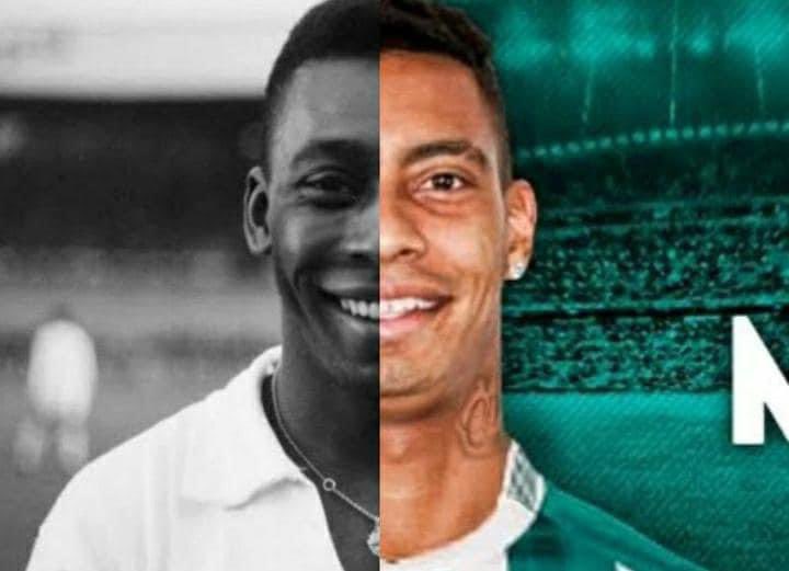 Daniel Barbosa tweet media