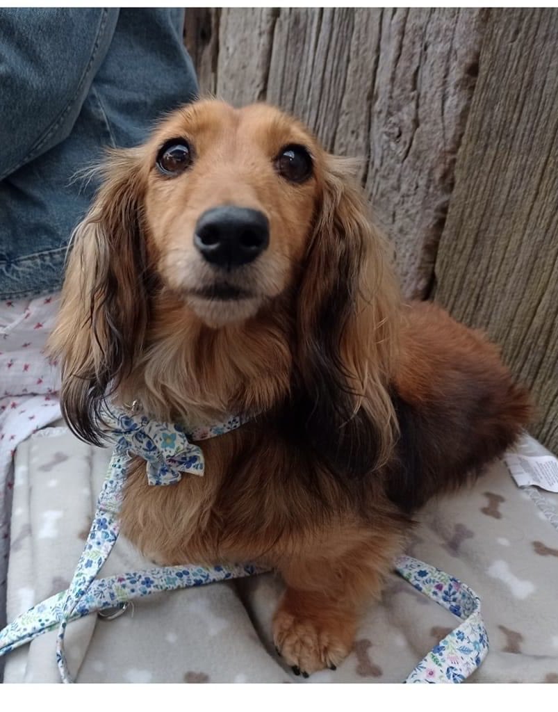 MinnietheMini tweet media