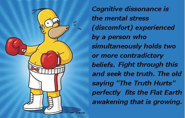 Homer Simpson tweet media