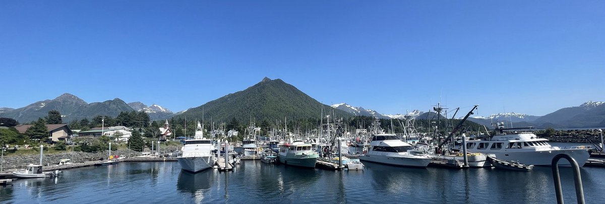 Luis (@luiselimon) on Twitter photo 