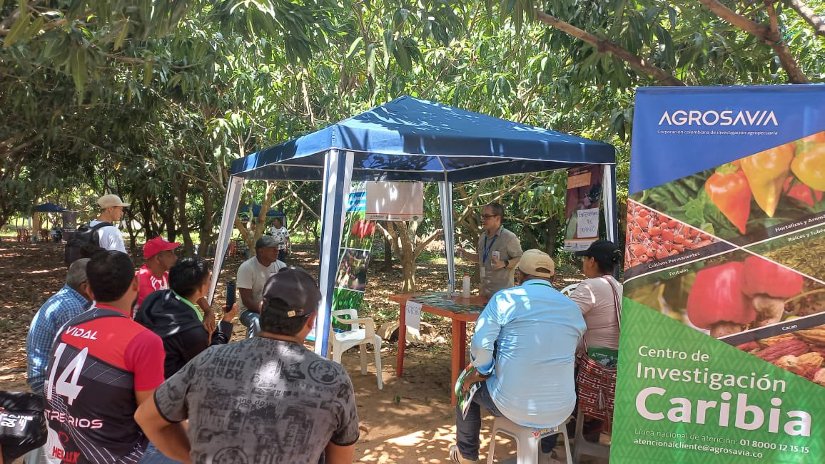 SomosAGROSAVIA's tweet photo. 🧵Investigadores de nuestro #CICaribia capacitan a productores y extensionistas agropecuarios en plagas y enfermedades en el marco del día de campo "Producción de mango en el departamento de La Guajira" organizado por @Asohofrucol 👇🏼 https://t.co/2mZhOd5LQw