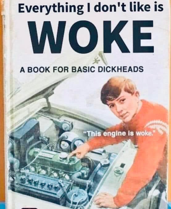 j_blue_advocacy's tweet photo. @RonDeSantis Woke woke woke woke woke woke woke https://t.co/90UPjYsren