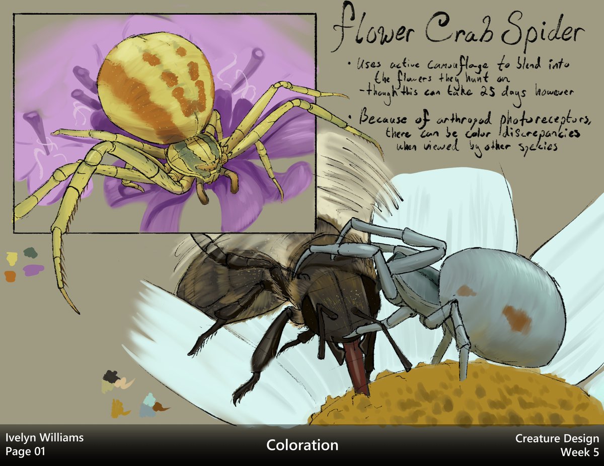 ivyyersinia's tweet image. Week 5 - Coloration
Studying the various reasons how animals use coloration to their advantage.  Coloring is not something I&apos;m well versed in, but I&apos;m hoping to use it more in the future.  This was a nice first step towards that.
#Animalstudy #dynamicsketching #animalart