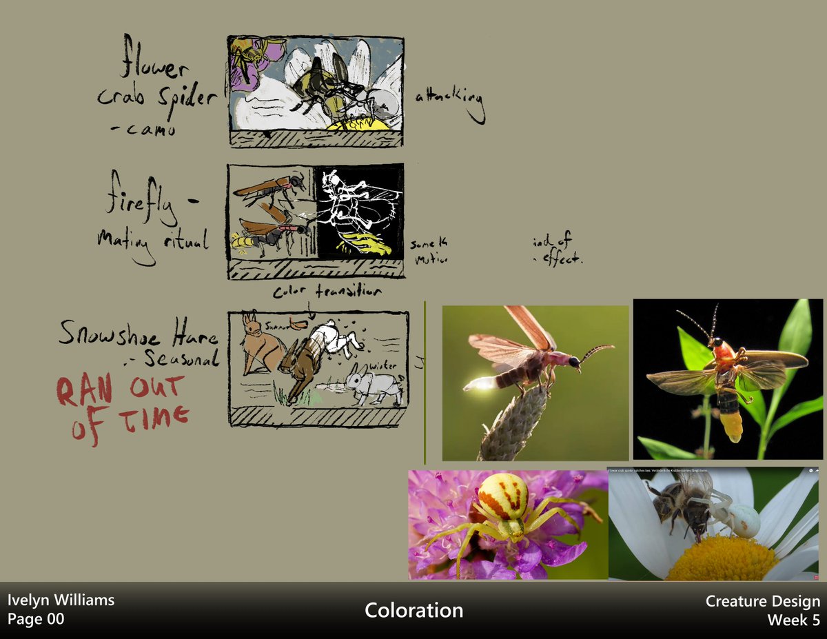 ivyyersinia's tweet image. Week 5 - Coloration
Studying the various reasons how animals use coloration to their advantage.  Coloring is not something I&apos;m well versed in, but I&apos;m hoping to use it more in the future.  This was a nice first step towards that.
#Animalstudy #dynamicsketching #animalart