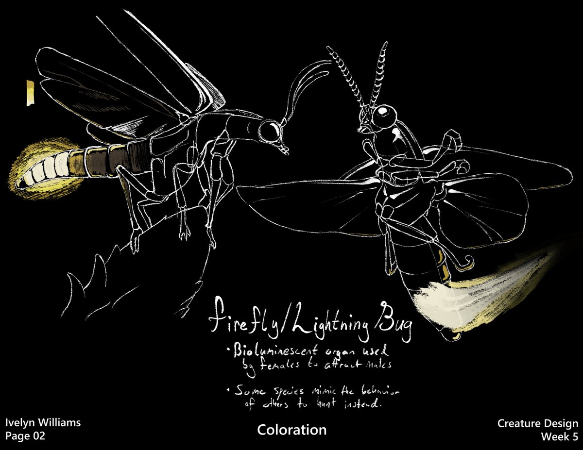 ivyyersinia's tweet image. Week 5 - Coloration
Studying the various reasons how animals use coloration to their advantage.  Coloring is not something I&apos;m well versed in, but I&apos;m hoping to use it more in the future.  This was a nice first step towards that.
#Animalstudy #dynamicsketching #animalart
