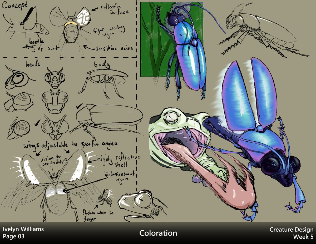 ivyyersinia's tweet image. Week 5 - Coloration
Studying the various reasons how animals use coloration to their advantage.  Coloring is not something I&apos;m well versed in, but I&apos;m hoping to use it more in the future.  This was a nice first step towards that.
#Animalstudy #dynamicsketching #animalart