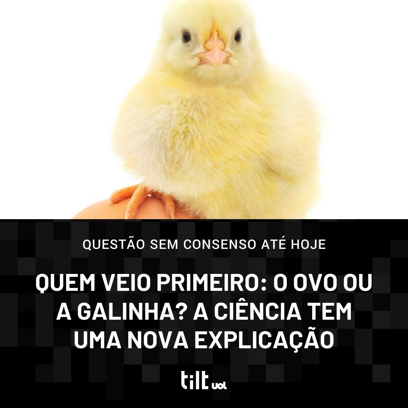 Quem veio primeiro: o ovo ou a galinha? Ciência tem nova explicação