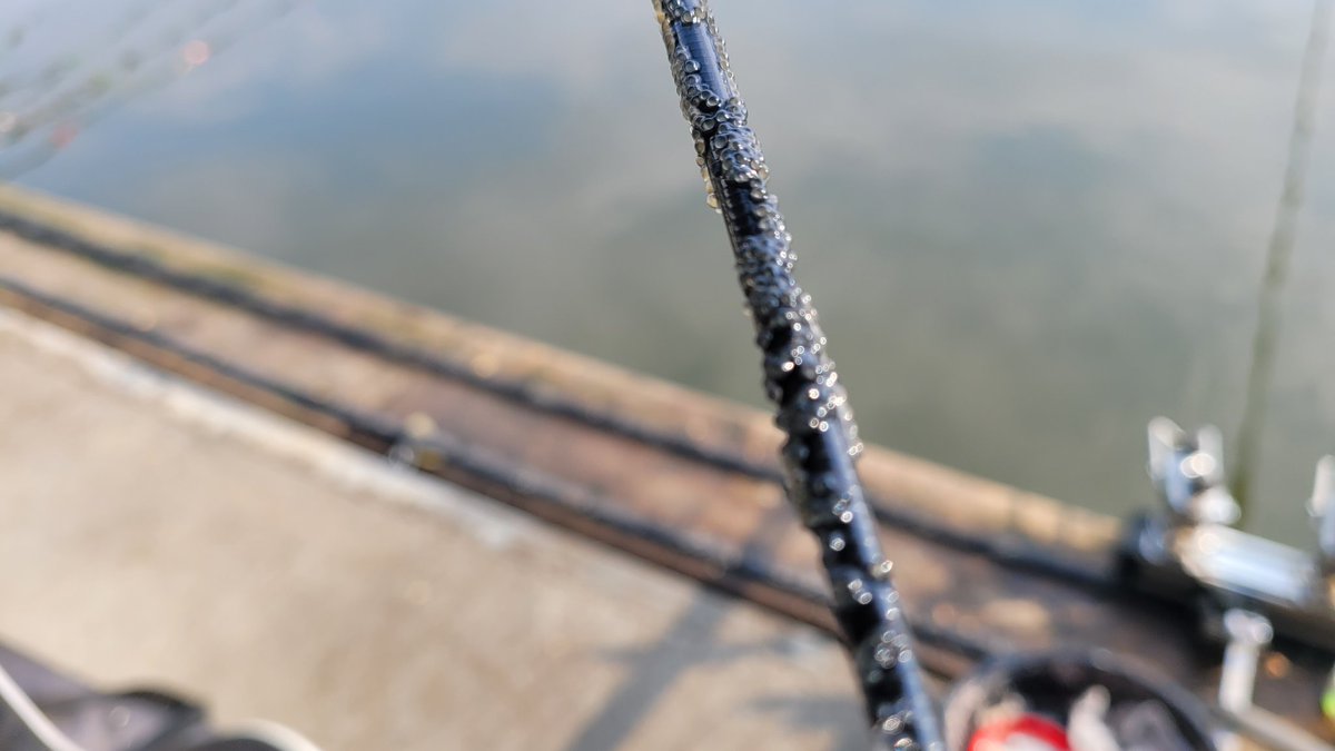 어천저수지에서 낚시하는데 뭔가 자주 대를 툭툭친다. 철수할때 보니 물에 잠긴 부분에 알이 붙어 있다. 붕어, 잉어 알은 아니고, 어느 어종의 알인지 아시는 분 계시는지...