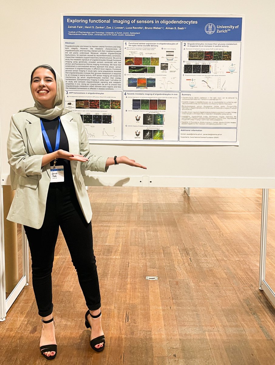 Very excited to present my first poster at my first <a href="/gliameeting/">European Glial Meeting 2025</a> in Berlin and chat about beautiful Oligos and their metabolism! 🧠✨ #oligodendrocytes #euroglia2023 #neuroscience <a href="/AcademicChatter/">Academic Chatter™</a>