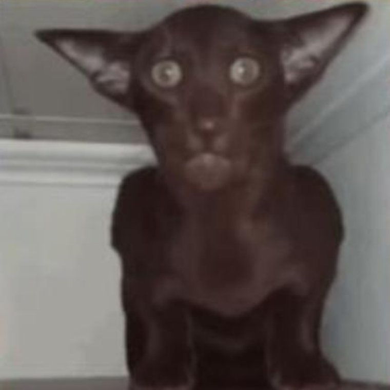 ᅟᅟᅟ 𝒄𝒂𝒍𝒍 𝒎𝒆,ᅟᅟᅟᅟ𝗩𝗜𝗞𝗧𝗢𝗥! (@y0urdr8am) on Twitter photo 