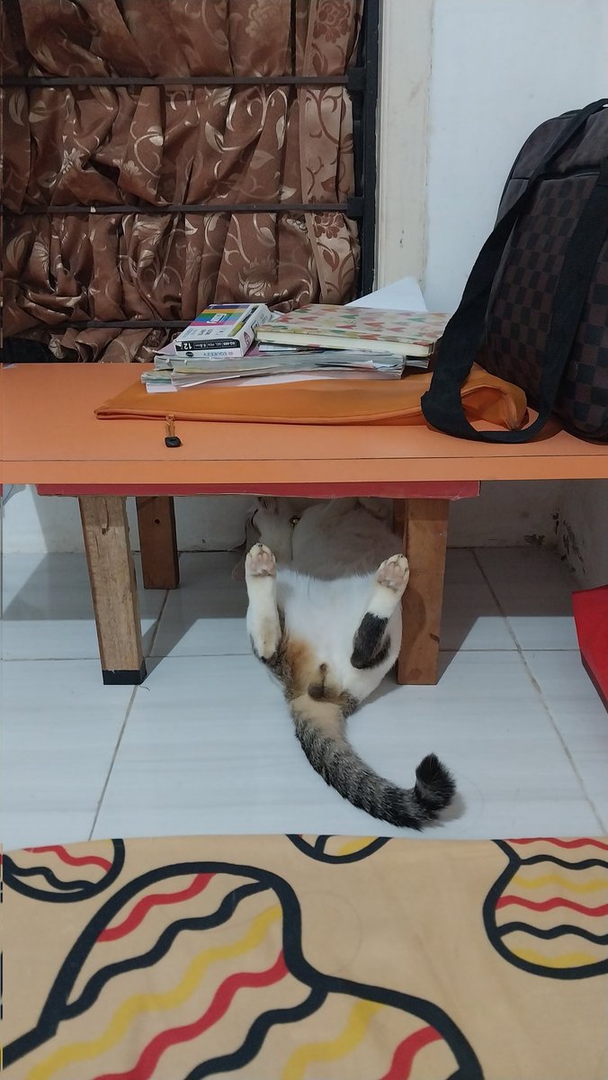noodlecheeseeee's tweet photo. @kochengfs ini poseku, mana posemu🤣🤣🤣 https://t.co/CpKQgAePzE
