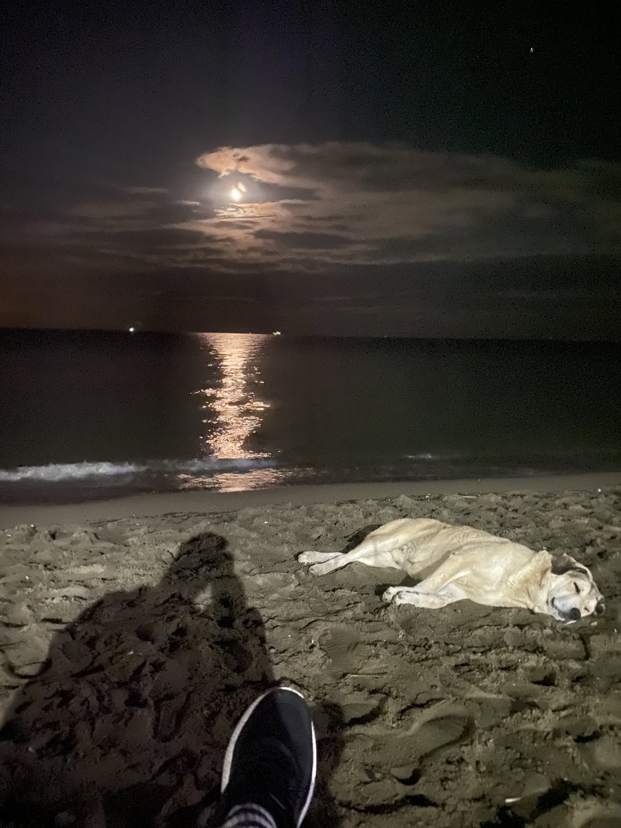 Uncuilker's tweet photo. Gecenin güzelliği ve tonikano 🧡 https://t.co/xEAZ3Fvjbe