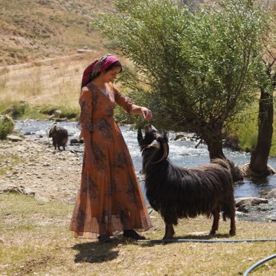 TRT Kurdî tweet media