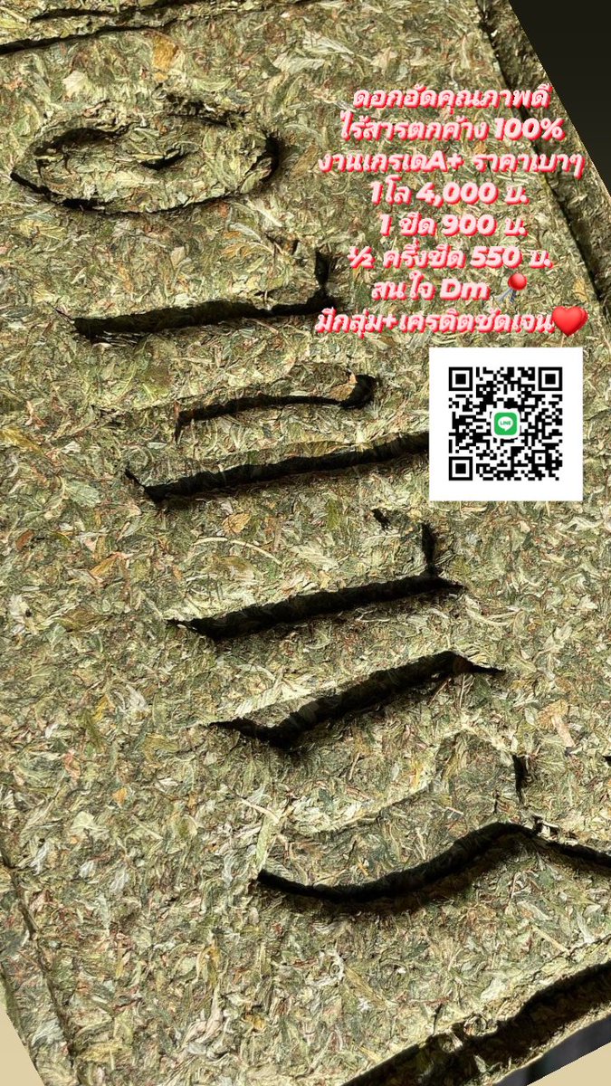 HPW4200's tweet photo. งานดีตรงปก การันตรีความเมา🍁
รับเยอะลดเยอะ แอดมินกัญเอง
พร้อมส่งทั่วไทย มีกลุ่ม+เครดิตชัดเจน
สนใจ DM. หรือ @LINE มาครับ📍
#กัญชาอัดแท่ง #กัญชาออแกนิค #กัญชาราคาถูก #กัญชาราคาส่ง #Weedmob #weedsmokers #WeedLovers 
สั่งของ::@HPW4200 🔥 https://t.co/OLJ8KJsXQQ