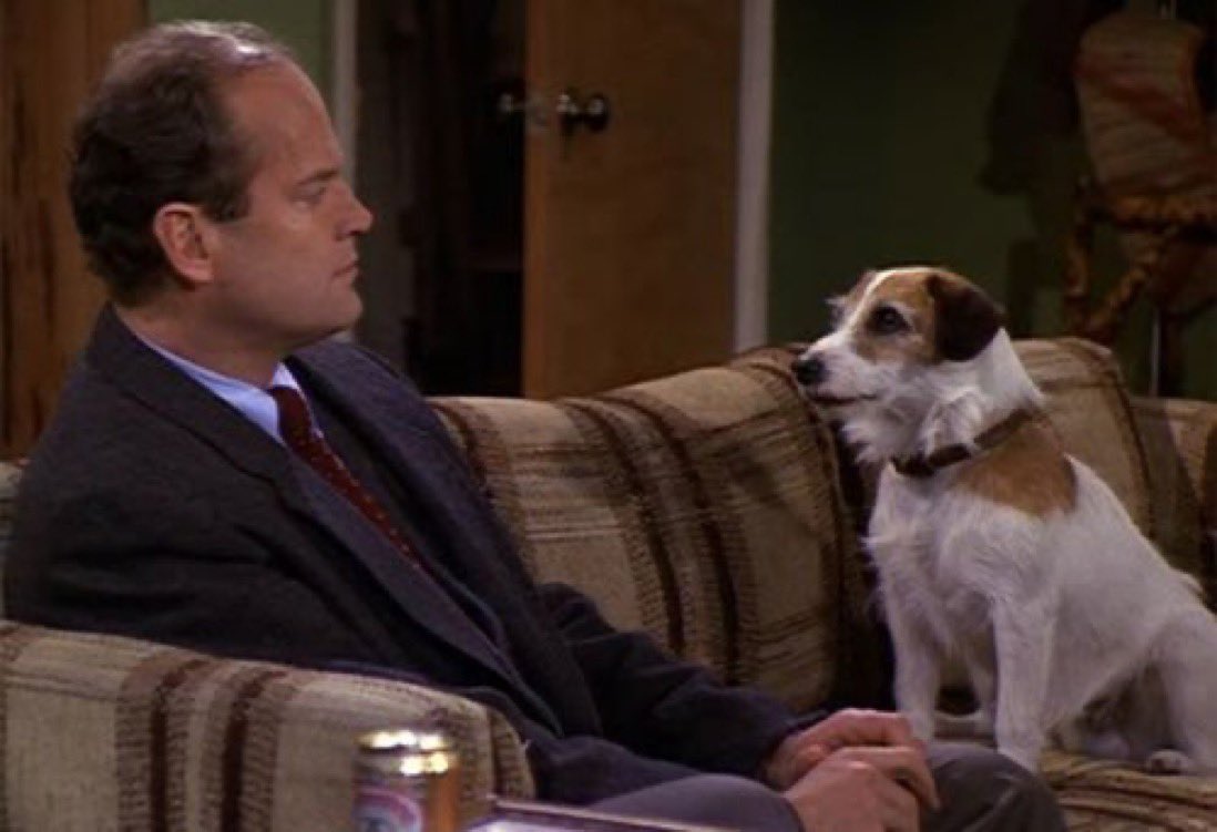 Eddie the #YEG FosterBeagle tweet media