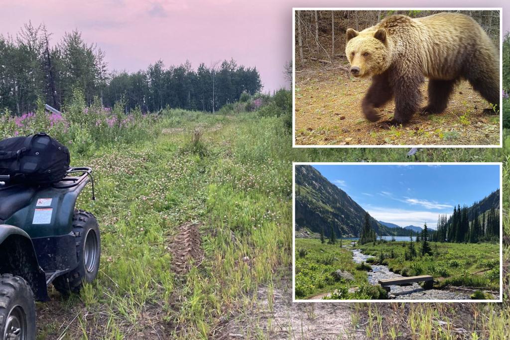 New York Post on Twitter: "Grizzly bear attacks woman planting trees in