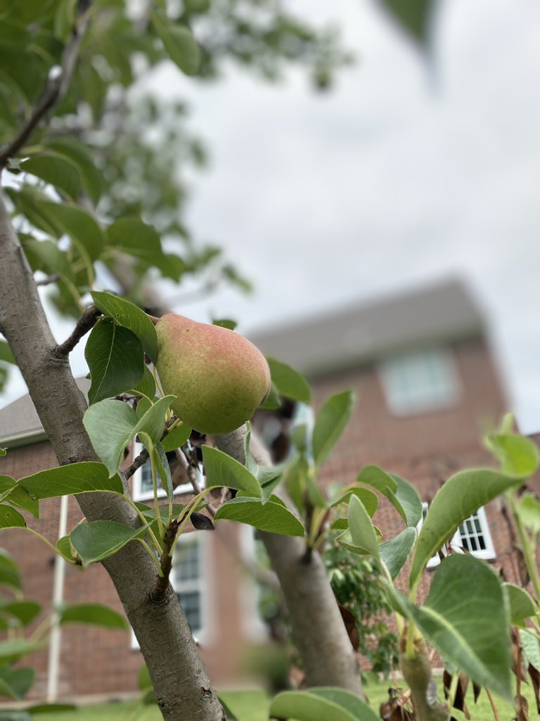 Woodlawn Elementary tweet media