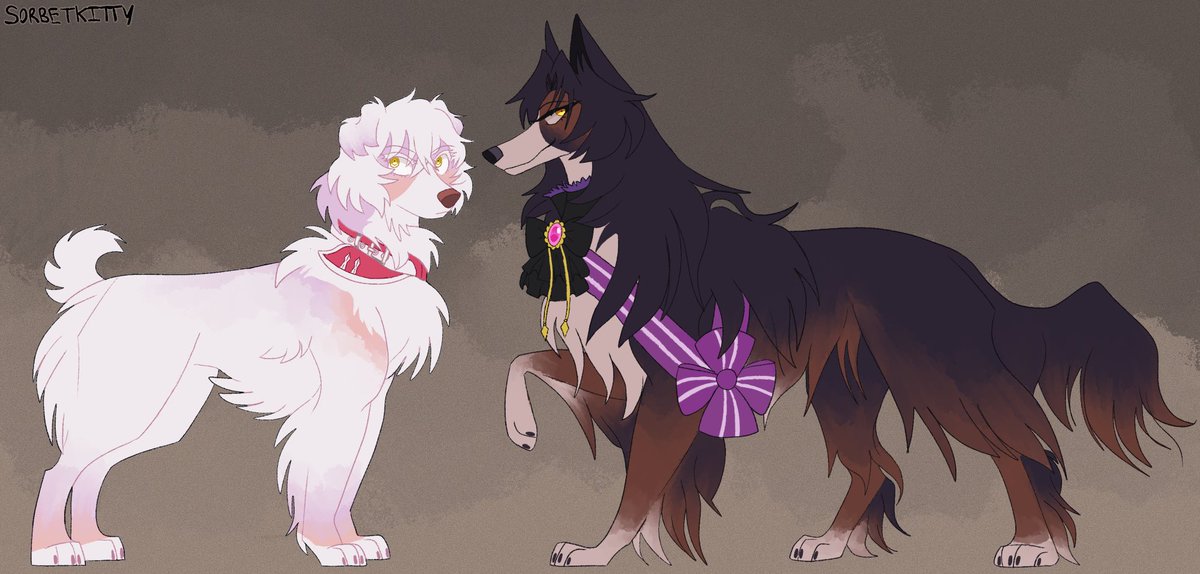 jeanne and domi dogs designs finally finished!!! i sat on this for too long. would like to work on jj and chloé next
|| #ヴァニタスの手記 #vnc #casestudyofvanitas
