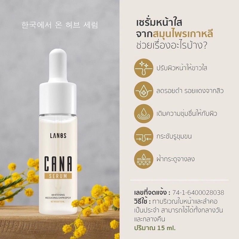 mystoreskin's tweet image. ˓ 🌱 ˒ ꒰ พร้อมส่ง ꒱
─ Lanos Cana Serum 15ml.
♡ เซรั่มหน้าใสจากสมุนไรเกาหลีได้รับสิทธิบัตรความขาวจากประเทศเกาหลี ช่วยเรื่องปรับผิวหน้าให้ขาวใส ลดรอยดำ แดง เติมความชุ่มชื่น กระชับรูขุมขน💦

โปร 🧺290.-
🚫ปกติ 390.-

#lanos #คาน่าเซรั่ม #สกินแคร์รักษาสิว