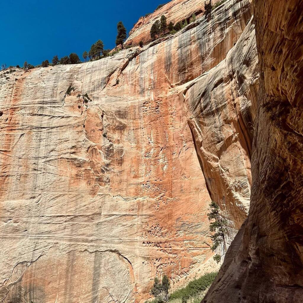 geekcode's tweet image. Zion was amazing … and I couldn’t help but snap this unclimbed 4-5 pitch line of huecos a few miles up the West Rim trail instagr.am/p/CudGr8YPeBJ/