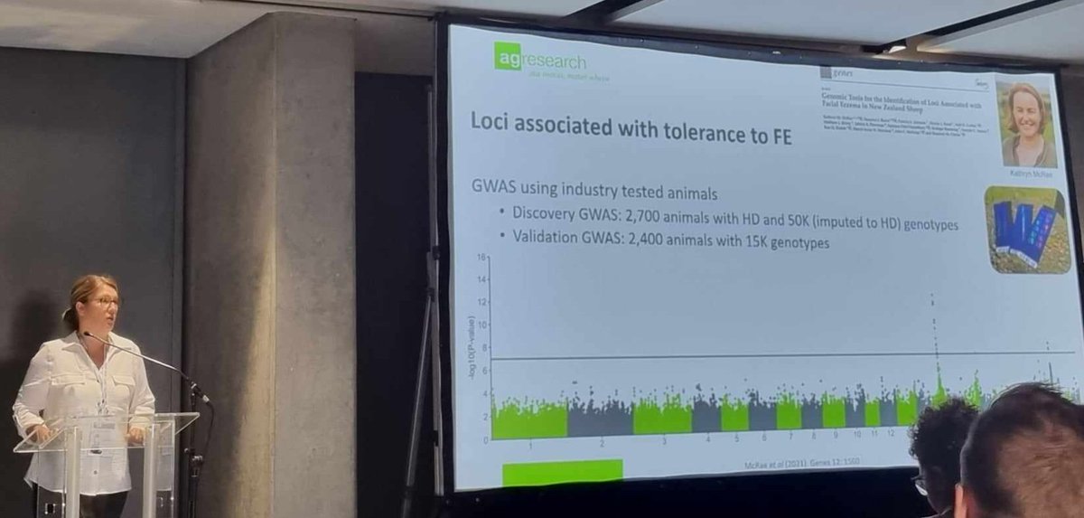 ClarkeyShan's tweet photo. ISAG2023 Cape Town. Presenting the discovery, validation and implementation of genomics in the NZ Sheep industry through use of the AgResearch Sheep Genomics 60kplus SNP chip. Genotyping at GenomNZ @AgResearchNEWS https://t.co/s18WJ7BQi8