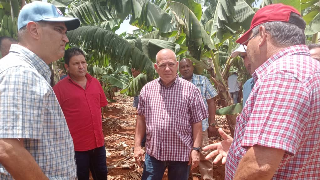 Recorrimos la empresa "La #Cuba" en #CiegoDeAvila,
conocimos de sus avances, pero insistimos en la necesidad de recuperar sus capacidades productivas.
#ConTodosLaVictoria #LatirAvileño