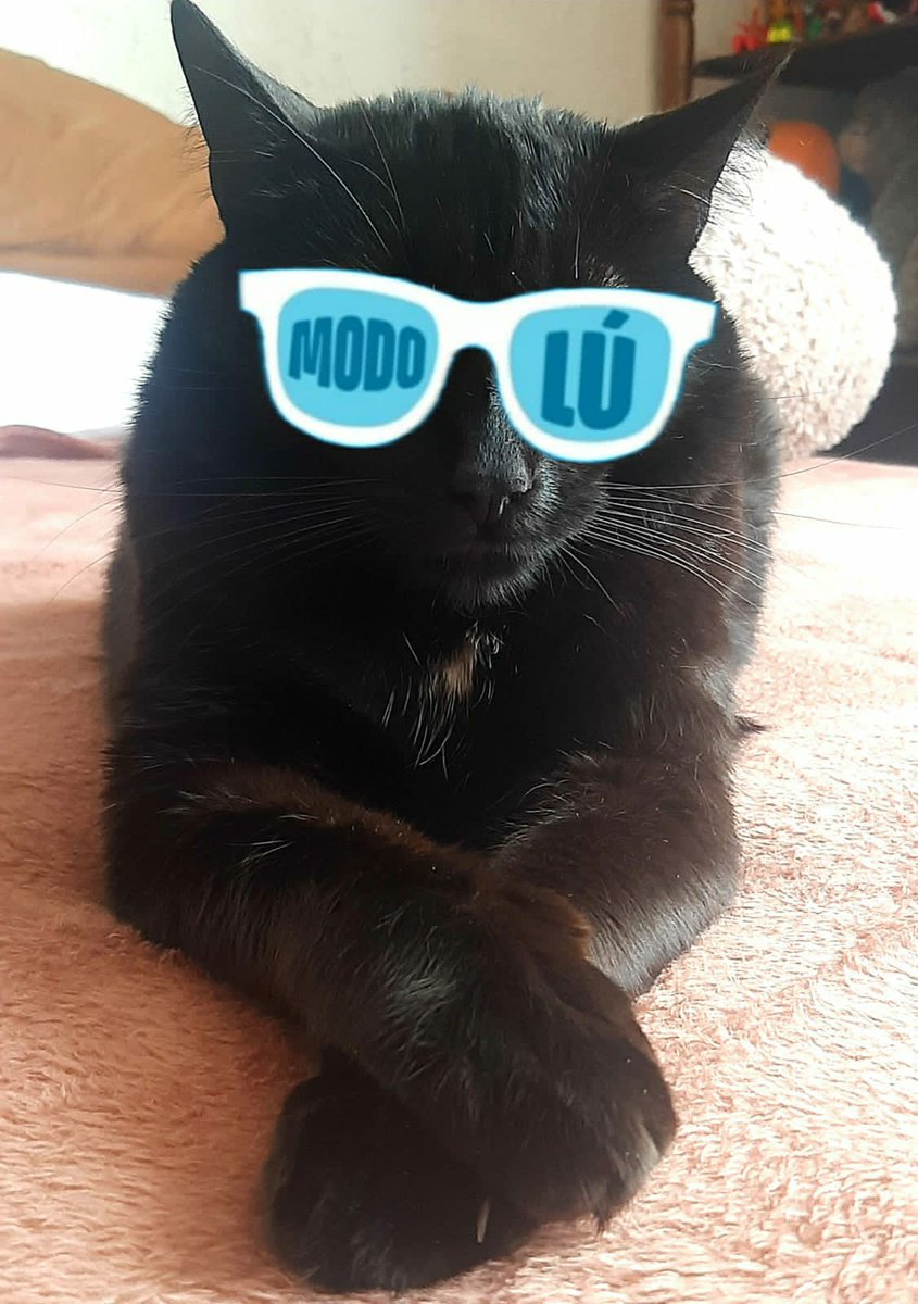 HijadelSol17's tweet image. El Pepo ✊
#ModoLu #ConLuisaYAndres 
#UnaSolaVuelta 
#ElResurgirDeLaPatria