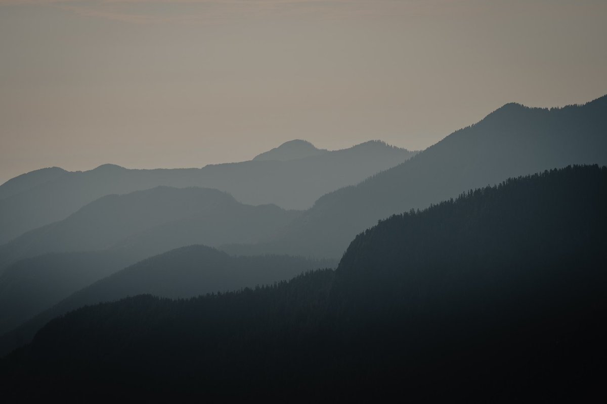 Oli Arlart tweet media