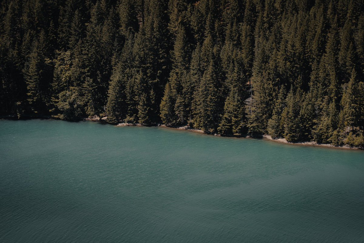 Oli Arlart tweet media