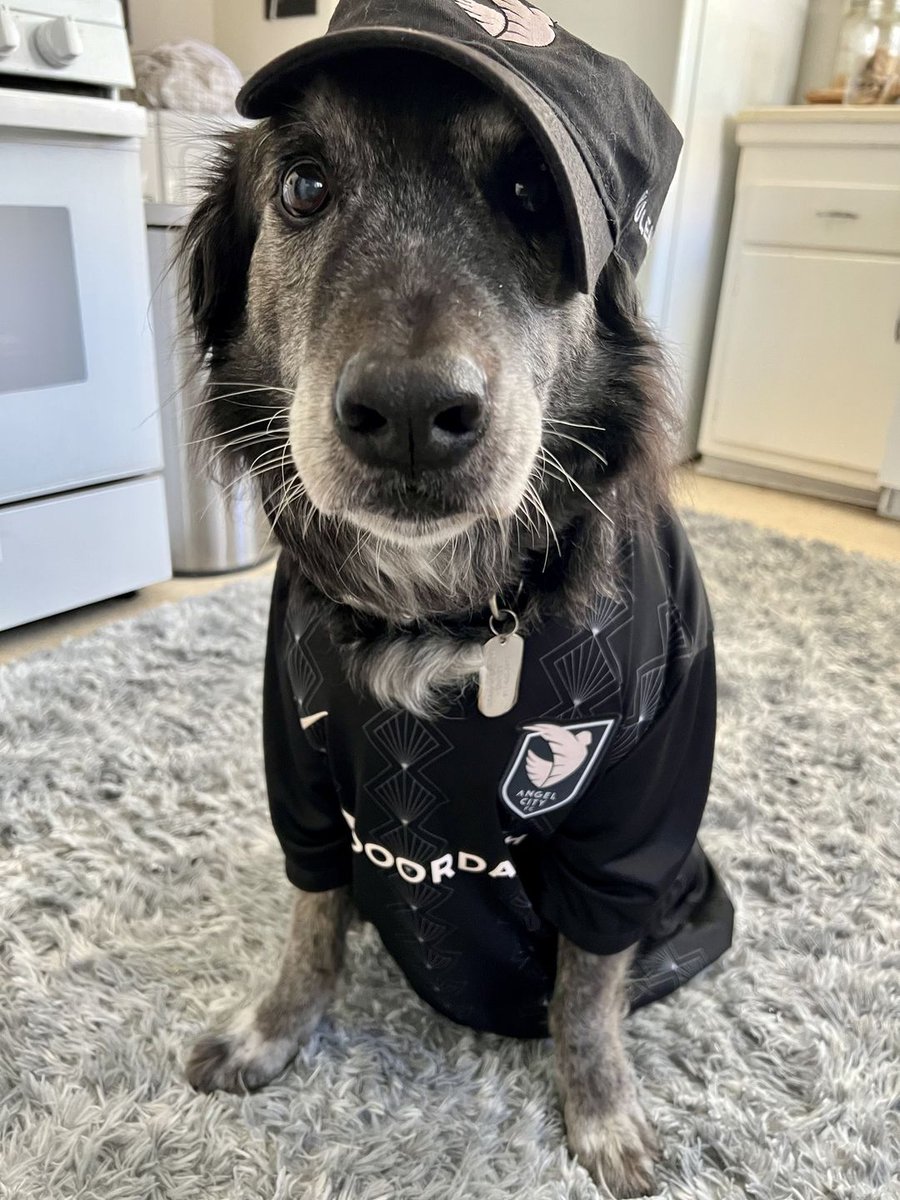 #AngelCityFC we believe in EVERYTHING you stand for but maybe, maybe we could just work on putting the ball in the back of the net? #NWSL